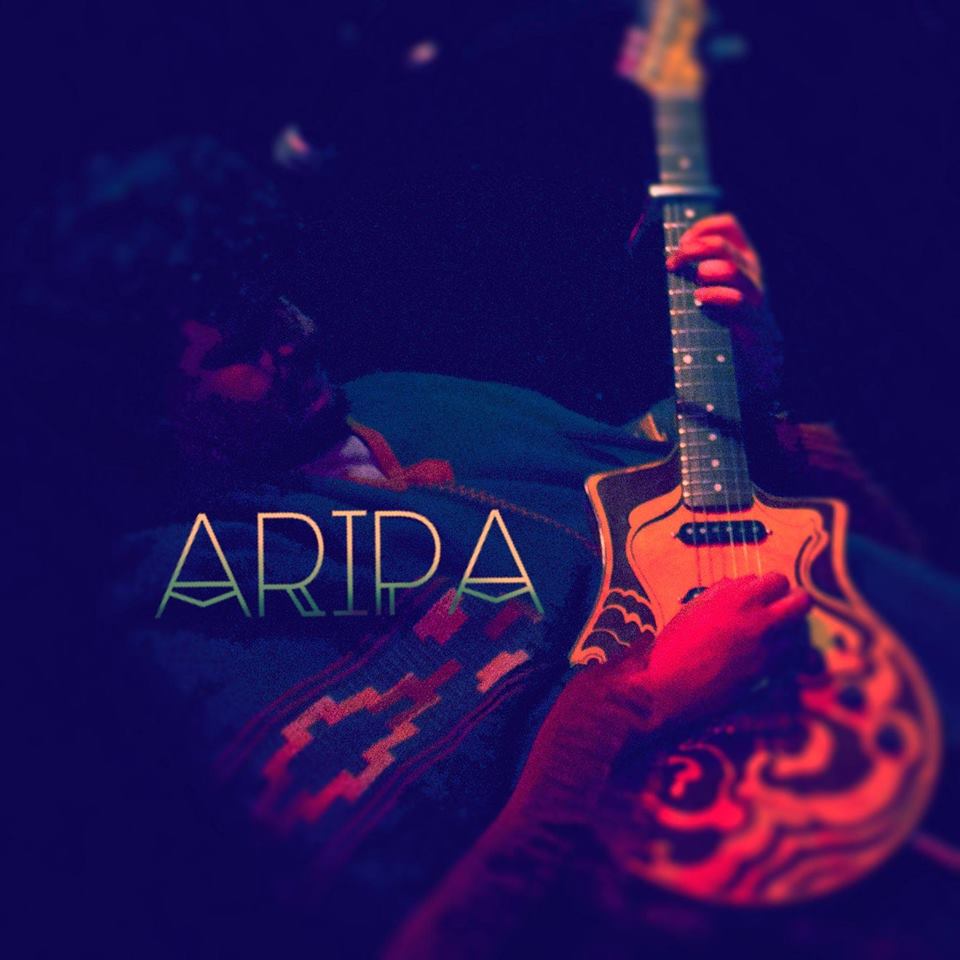 Aripa